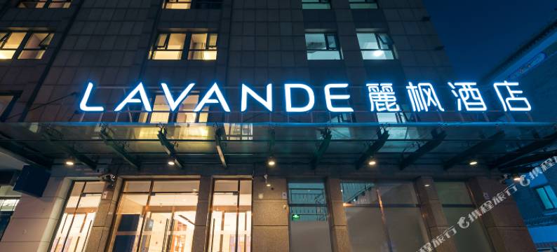 麗枫酒店(北京北医三院牡丹园地铁站店)图片
