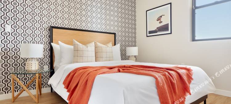 Sonder the Leo图片