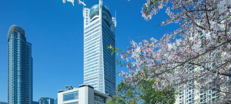 杭州天元大厦棋文化观潮度假酒店图片