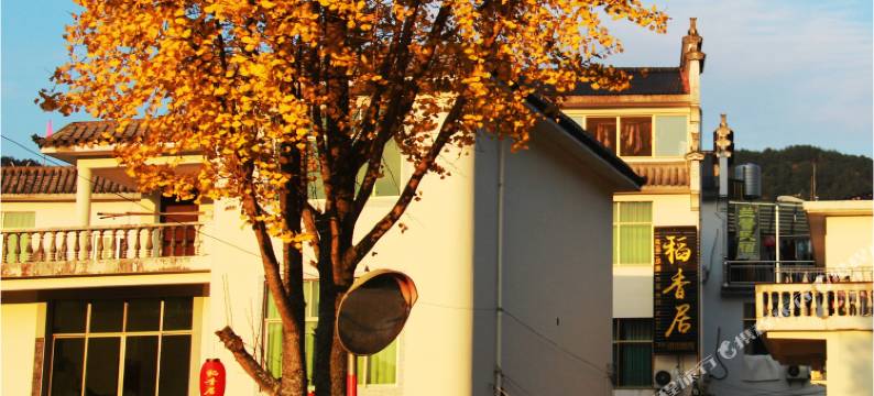 婺源县篁岭稻香居民宿图片