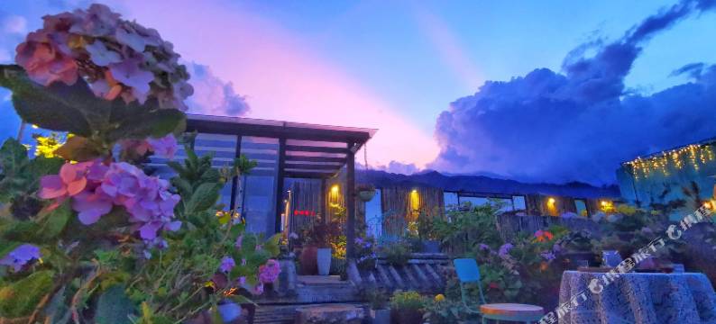 大理古城山山有木国学花园民宿图片