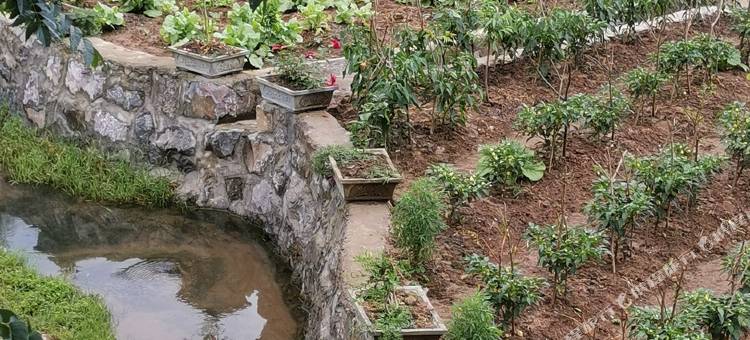 上甘棠寿隆桥客栈图片