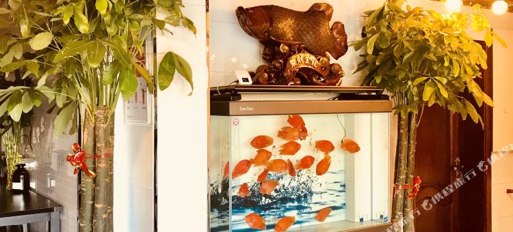 林口金鼎快捷宾馆图片