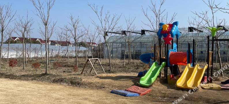 田园小院民宿图片