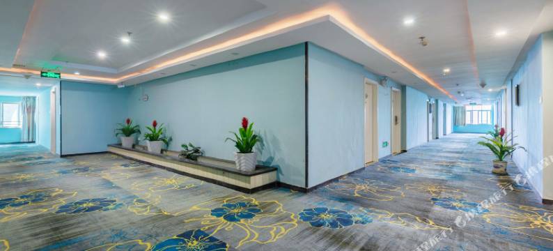 深圳佳泰精品酒店(平湖华南城地铁站店)图片