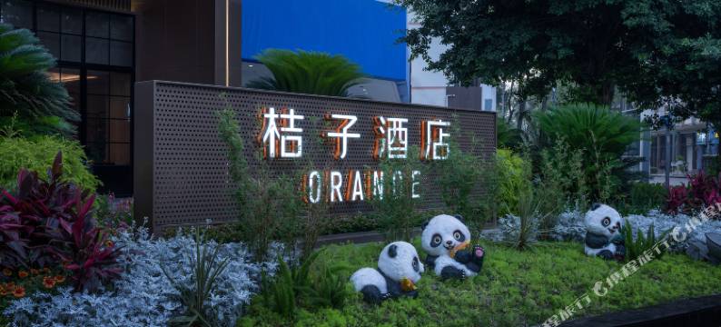 桔子酒店(成都双流国际机场店)图片