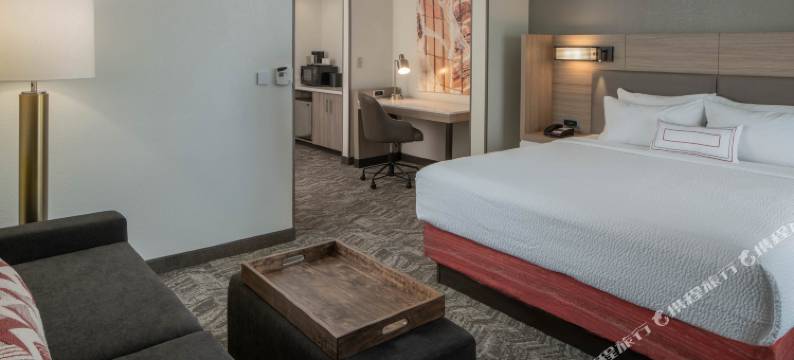 纳什维尔机场索尼斯塔精选套房酒店(Sonesta Select Nashville Airport Suites)图片