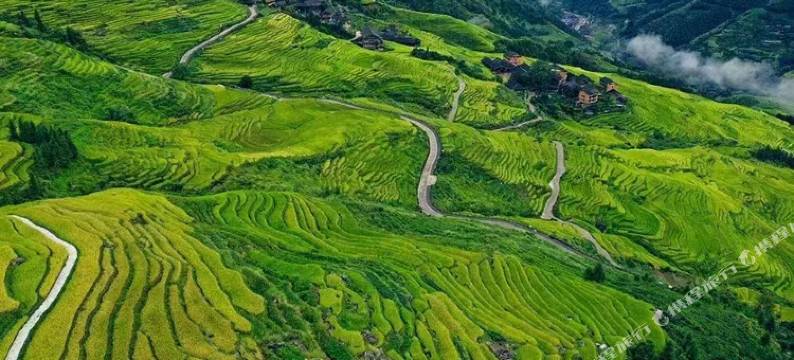 龙脊悦田民宿(一号观景台店)图片