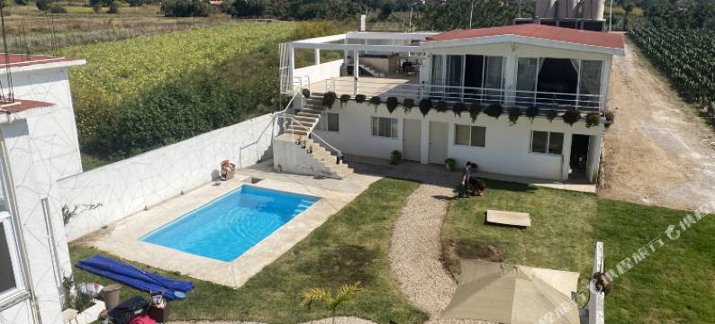 Brida Tlayacapan图片