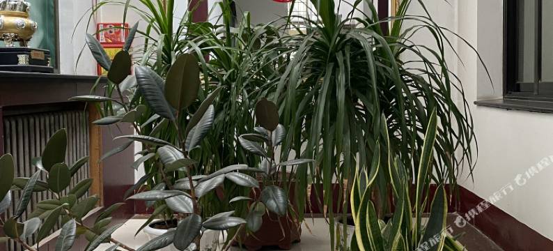 文水鼎盛宾馆图片