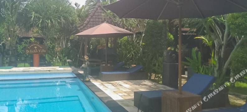 德利克斯别墅-蓝梦岛(D'Licks Villa Lembongan)图片