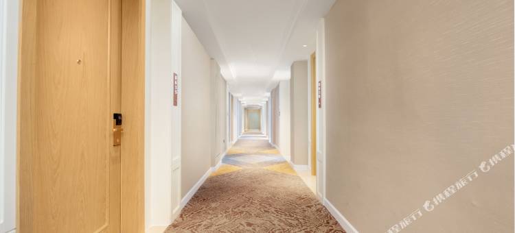 维也纳酒店(汕头潮阳谷饶店)图片