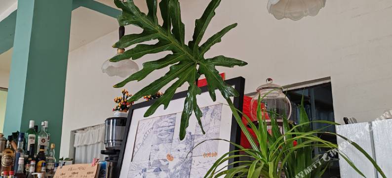 四禧民宿(涠洲岛贝壳沙滩店)图片