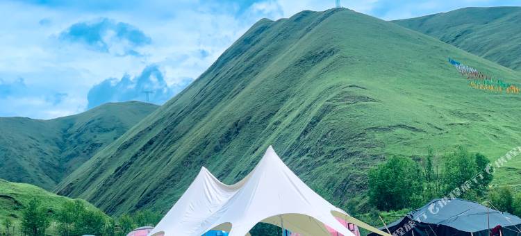 鱼子西雅诺星宿图片