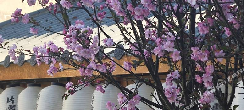 片云归精品民宿(李长公路分店)图片