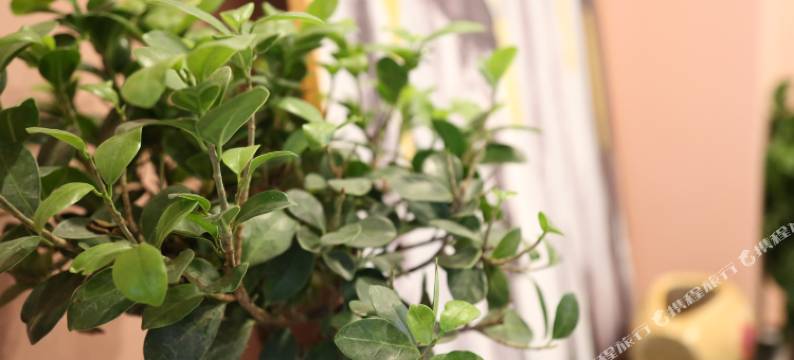 盐亭御景智能酒店图片