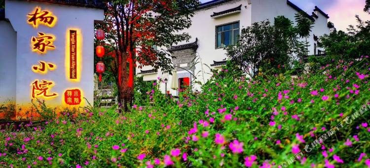 河源杨家小院民宿图片