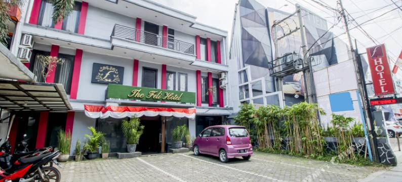 The Feli Hotel图片