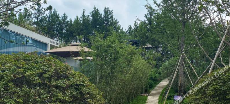 小森林度假酒店图片