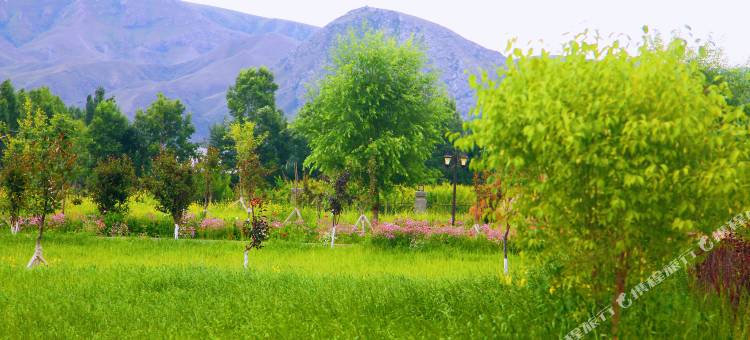 特克斯天悦生态酒店图片