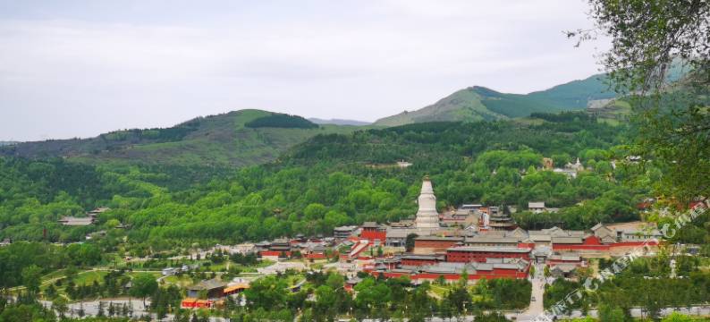 五台山峰回路转酒店(五爷庙店)图片