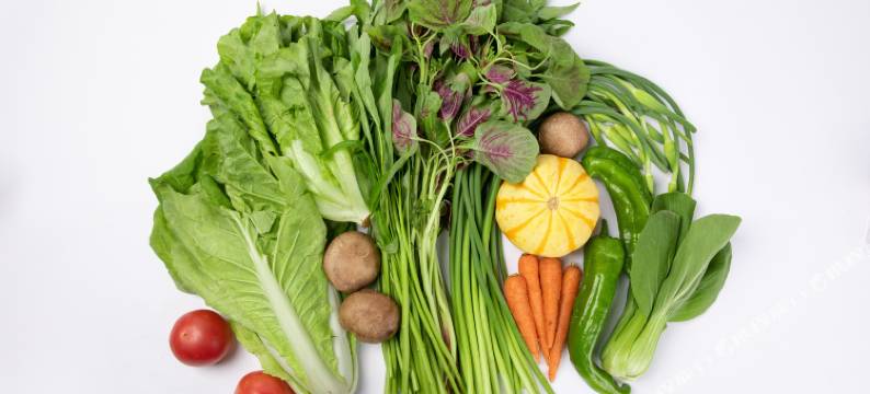 红景轩·森野度假民宿图片