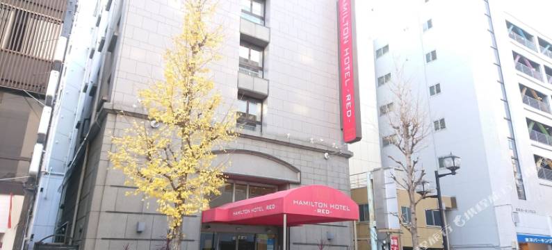 汉米尔顿红色酒店(Hamilton Hotel –Red-)图片