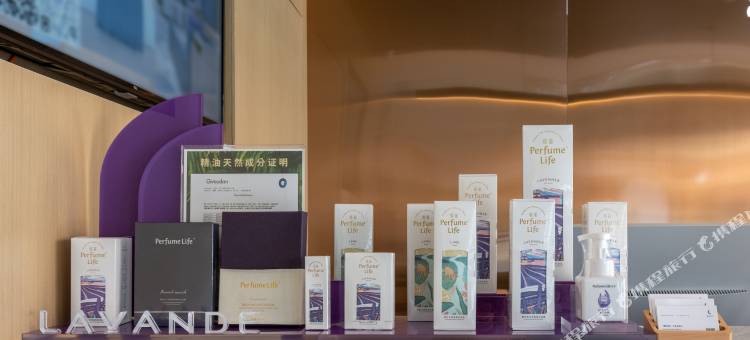 麗枫酒店(东阳花园红木家具城横店机场店)图片