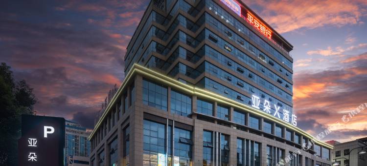 绵阳园艺山科创园火炬北路亚朵X酒店图片