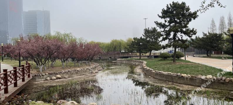 金辰民宿图片