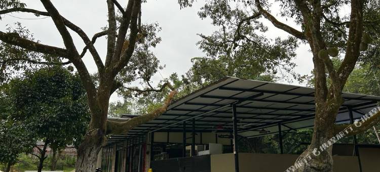 Collection O 90861 本通自然果园寄宿家庭(Collection O 90861 Bentong Nature Orchard Homestay)图片
