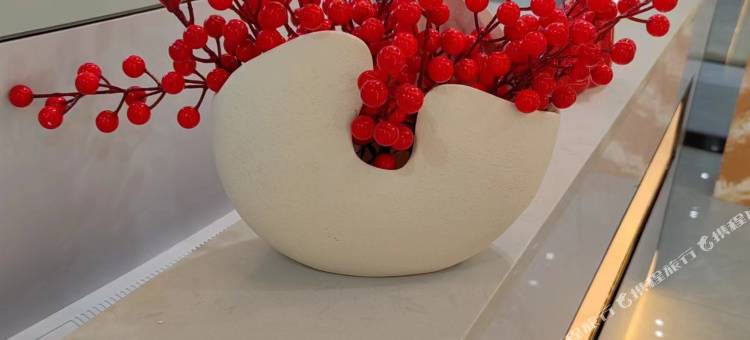 季遇·城市美宿酒店(揭阳广百广场店)图片