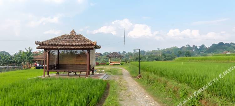 TwoSpaces Living at deRos 度假村 & 咖啡馆, 茂物(TwoSpaces Living at DeRos Resort & Cafe, Bogor)图片