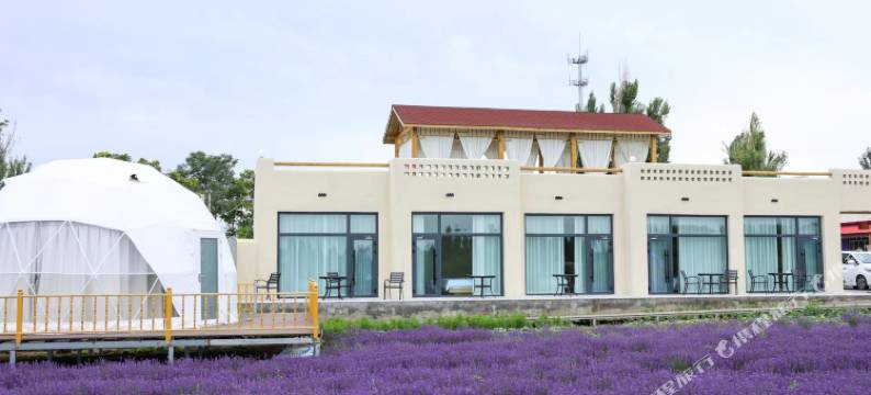 霍城岚涧云舍民宿(小马薰衣草庄园店)图片