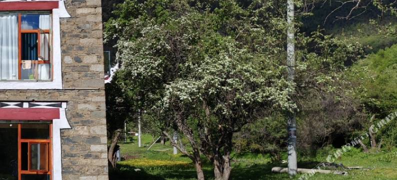 甲根坝央阔卓康民宿图片