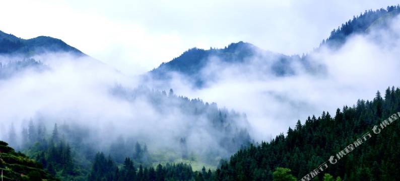 迭部扎尕那氧吧民宿图片
