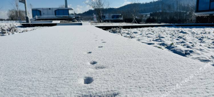 印象池西太空舱露营地(长白山旅游集散服务中心店)图片