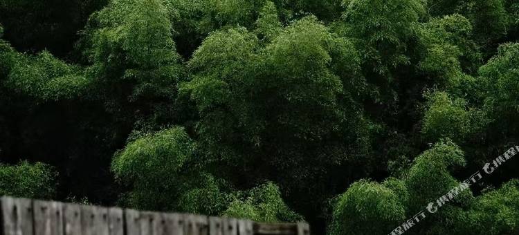 浦江溪野山居•亲子度假民宿图片