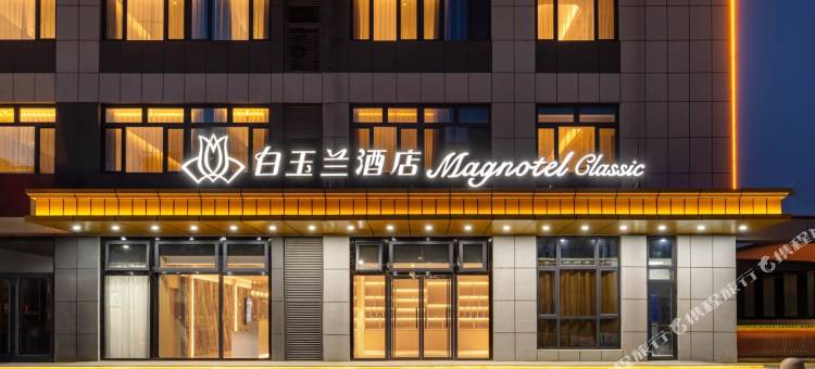 白玉兰酒店(沧州南皮县店)图片