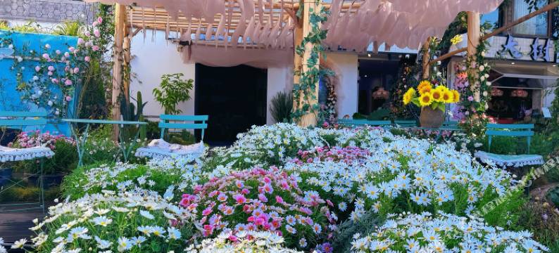 理昂·落云花园海景民宿(大理双廊洱海店)图片