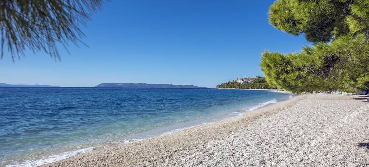 阿尔加蓝太阳酒店(Bluesun Hotel Alga)图片