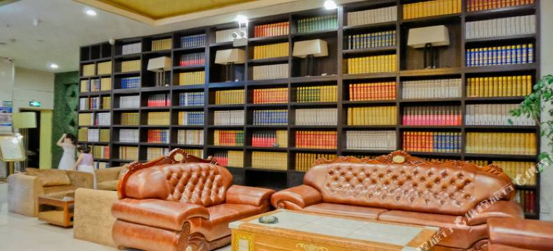 嵩县金茂假日酒店图片