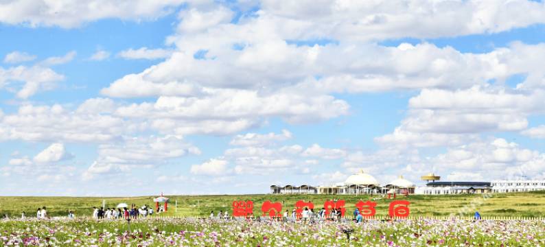 鄂尔多斯草原度假区图片