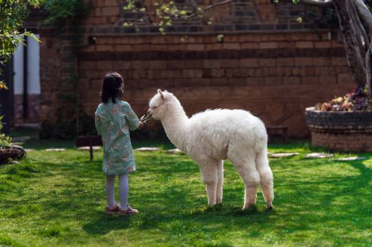 又一居·岛与咖啡园林度假民宿图片