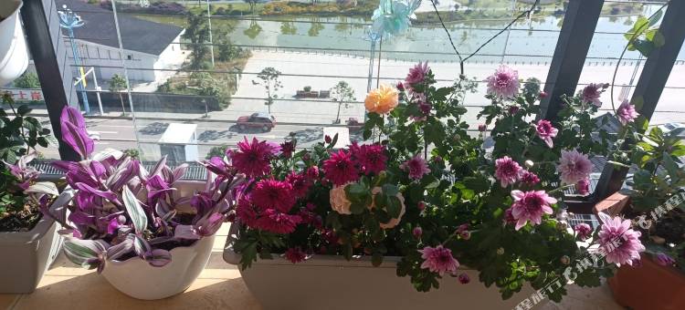 德昌花满楼滨河花园美宿图片