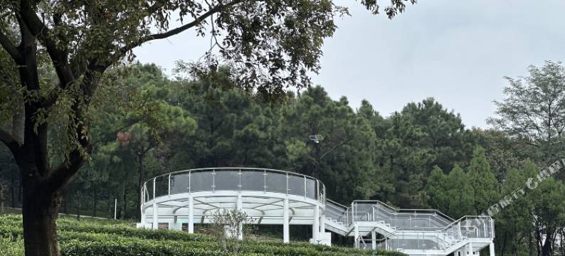 日照岚山岚茶园民宿(岚山区政府店)图片