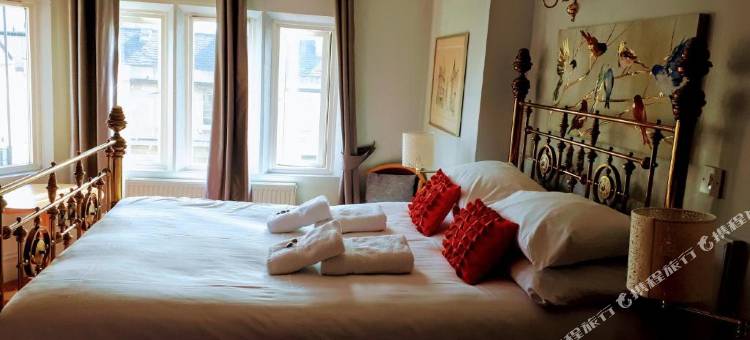 OYO 3号(OYO No. 3)图片