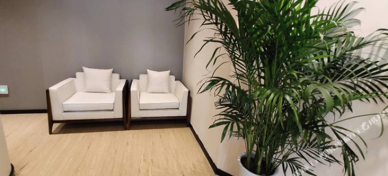 平顶山康馨酒店图片