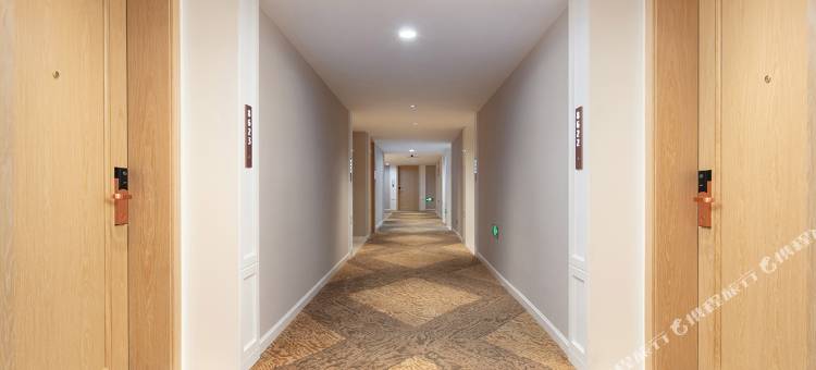 维也纳酒店(安岳南山公园店)图片