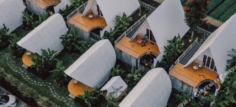 杜威金塔玛尼酒店(The Dewi Kintamani)图片